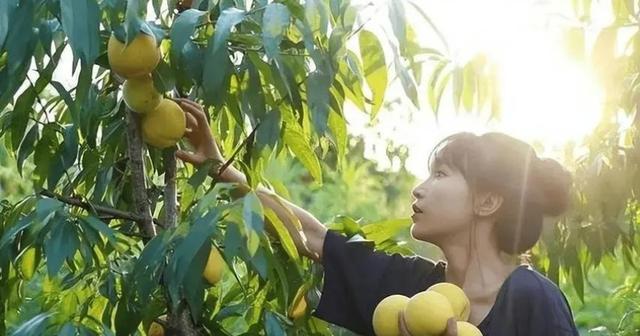 时隔一年李子柒再度营业,近照堪比毁容,她经历了什么?