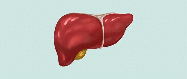 “肝火旺，失眠多” 建议多吃这道菜，清肝火睡的香，一觉到天亮