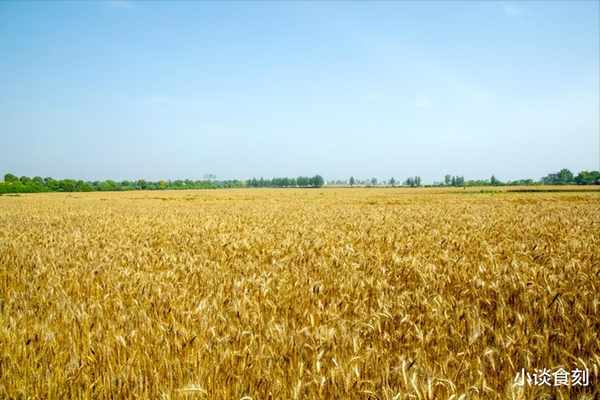 五月十七“丁巳日”，不管有钱没钱，记得：1不去，2不做，3不碰