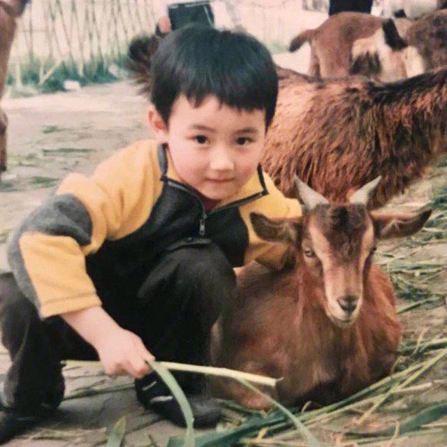 陈道明说的没错,不拍戏就消失的欧豪,已经走上了另外一条道路