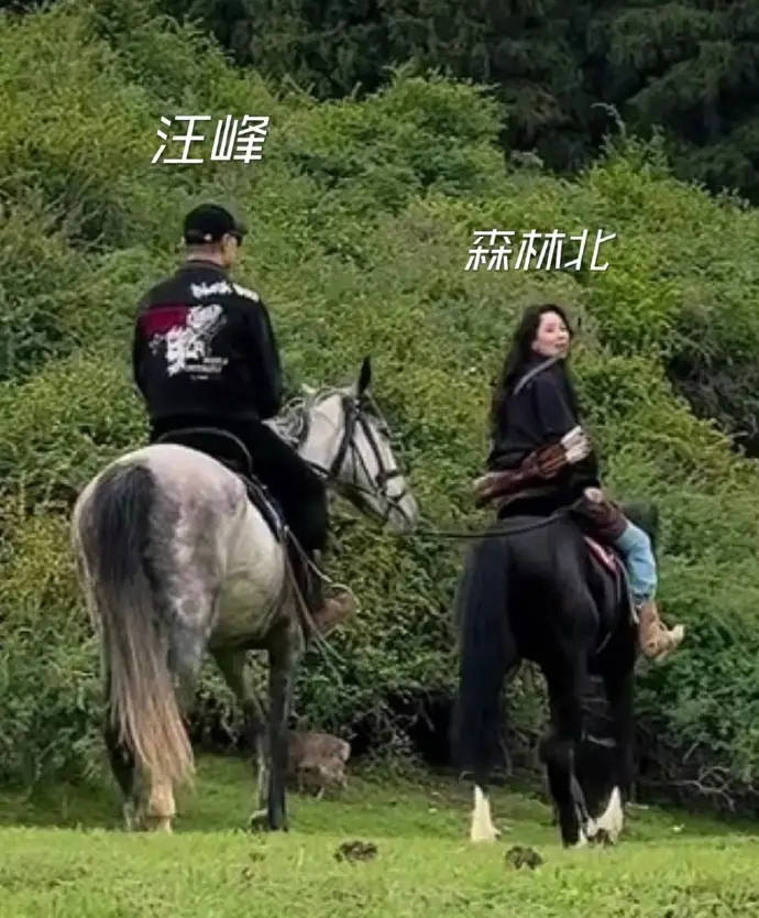 汪峰携新女友森林北上山打野!女方骑马背箭,让汪峰体验异域情怀