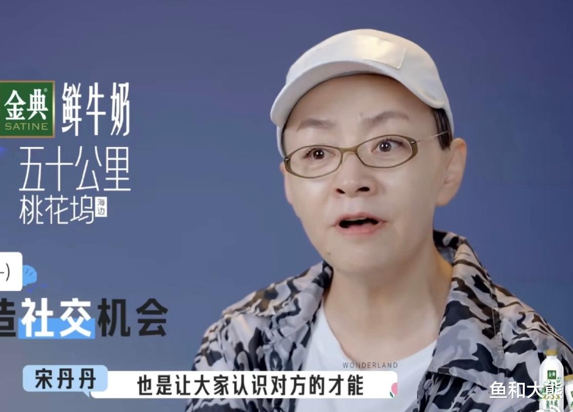 《桃花坞4》7人回归4人新加盟，王鹤棣沈月合体，宋丹丹被劝退