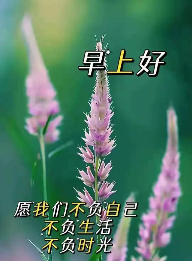 我们的眼睛很大 也很小