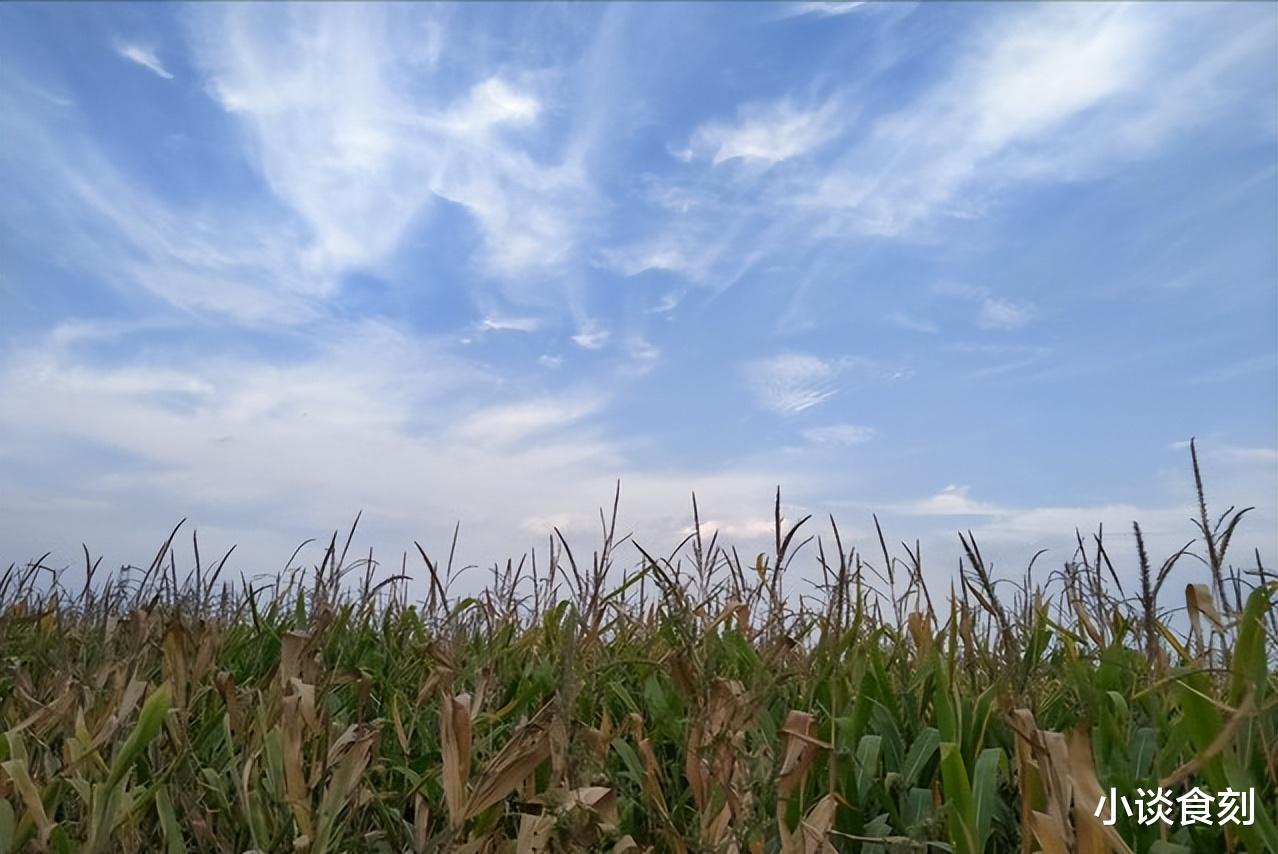 四月二十八不一般,老人说“做三事添安康”,是哪3事?答案来了