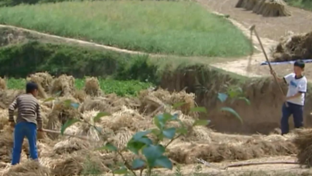 极限挑战|变形计高占喜：穷到吃不饱饭，城市\父母\资助读书，如今已是上尉