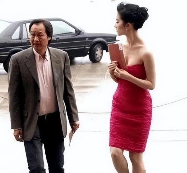 同样是被大佬陈金飞力捧,杨采钰与刘亦菲的境遇为何大不相同