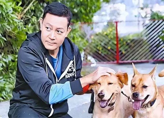 古天乐成遗产继承人,TVB男星曾伟权去逝,一生未婚称愧对前任