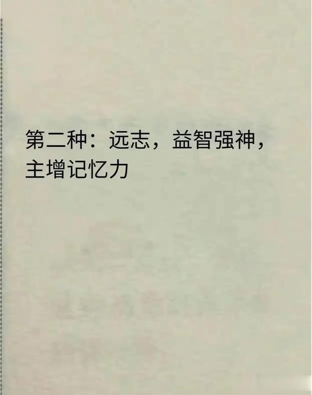倪海厦揭秘：脑力告急？这两样食物让你越吃越聪明！