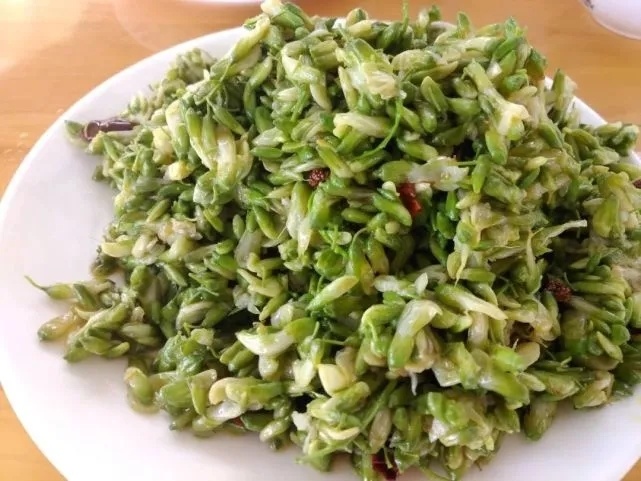 槐花不能“随便吃”？提醒：这4类人尽量别吃，看看你是否在其中