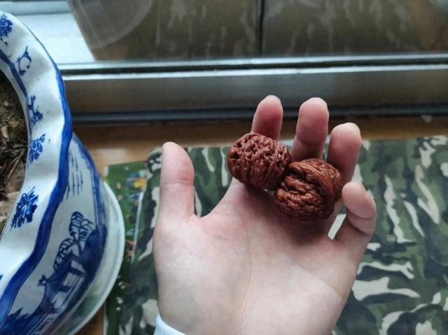 几十块的文玩,也能玩出花?这7种文玩不是奢侈品,可玩性却很强