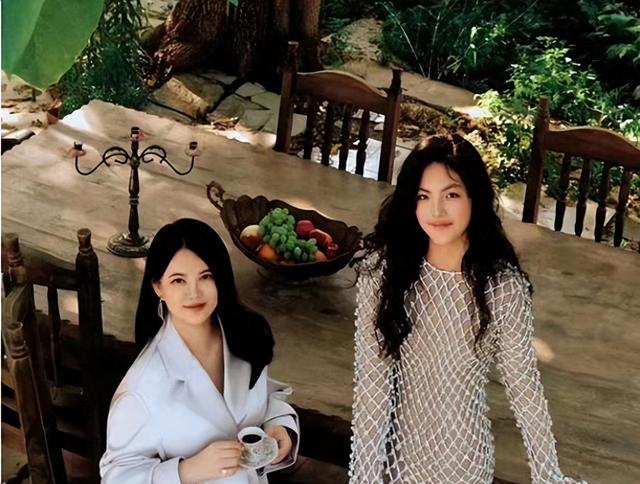 越低调越出乎意料，细看李湘的资产，才明白这才是她敢离婚的底气