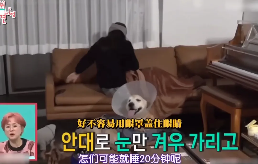 和前夫撕了5年后，39岁女星现状曝光：没有家、住车里、考研上岸