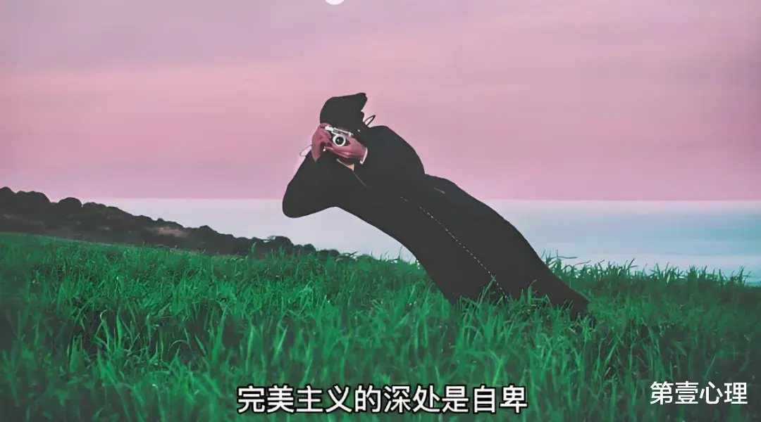 从“央视一姐”到“查无此人”，51岁的董卿，究竟踏错了哪一步