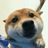 二十二郎国际