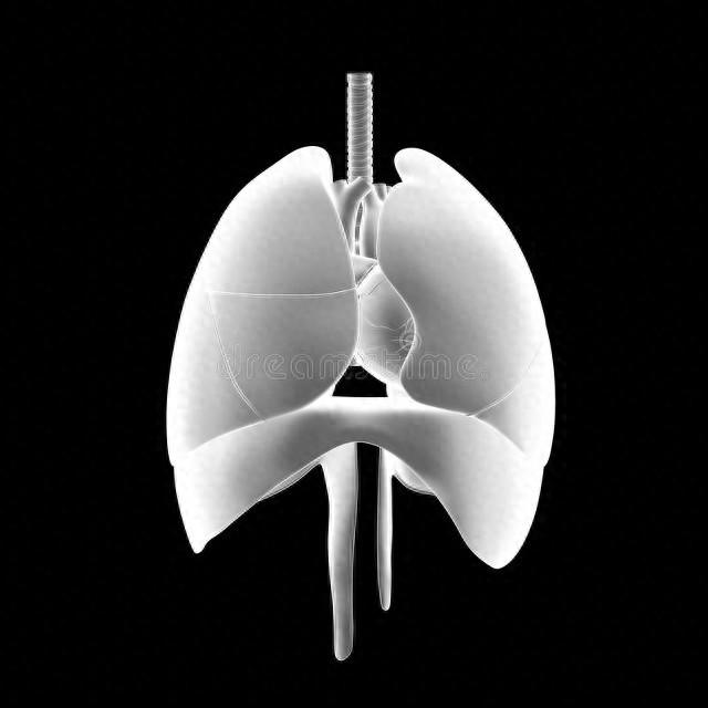 没完没了打嗝?4招教你快速解决!快收藏起来备用