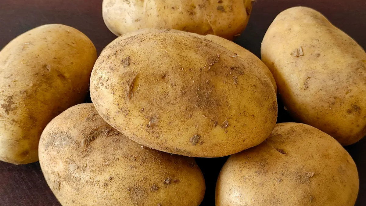 今天才知道，保存土豆这么简单，放一年不发芽不腐烂，不学可惜了