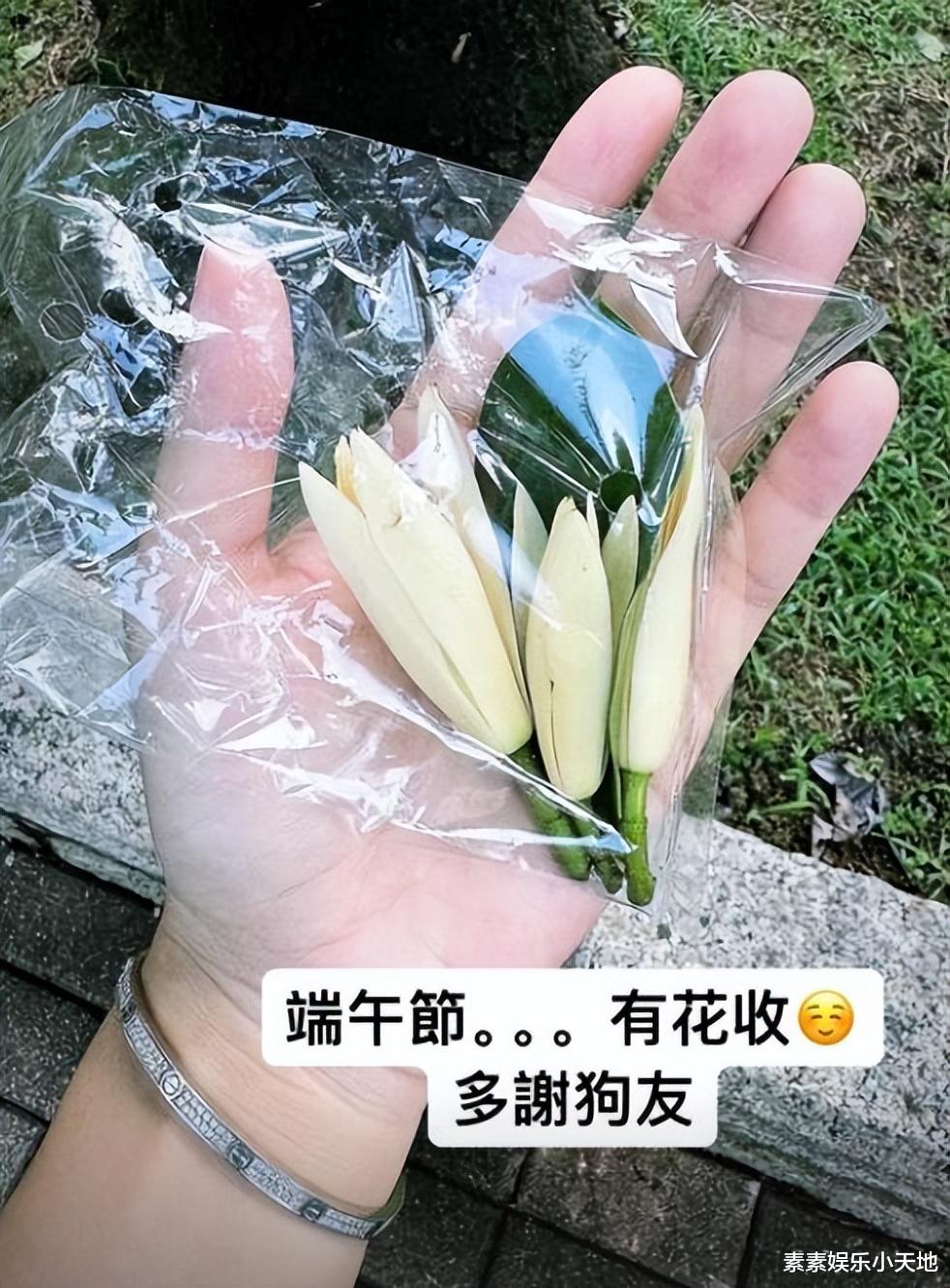 黄心颖端午节收野花被群嘲太寒酸,结婚半年遭遇各种婚后压力