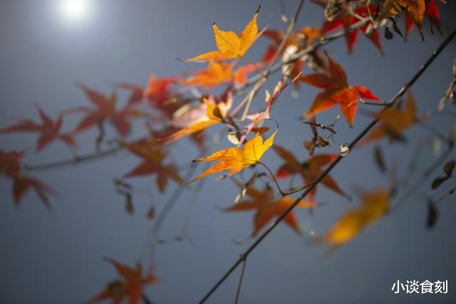 8月4日闰中伏，老人说“伏日万鬼行，三事不可做”啥意思？了解下