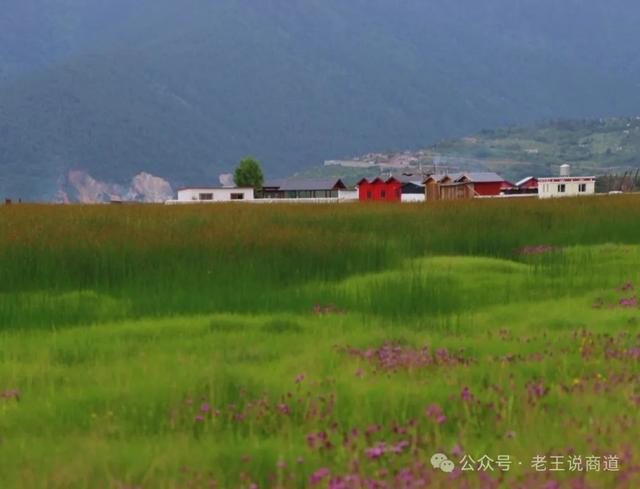 向上交往：如何通过与领导聊天来制造轻松氛围？