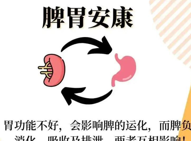 腹胀、胃胀、脾胃差，中医教你一招，健脾不肚胀还你好胃口！