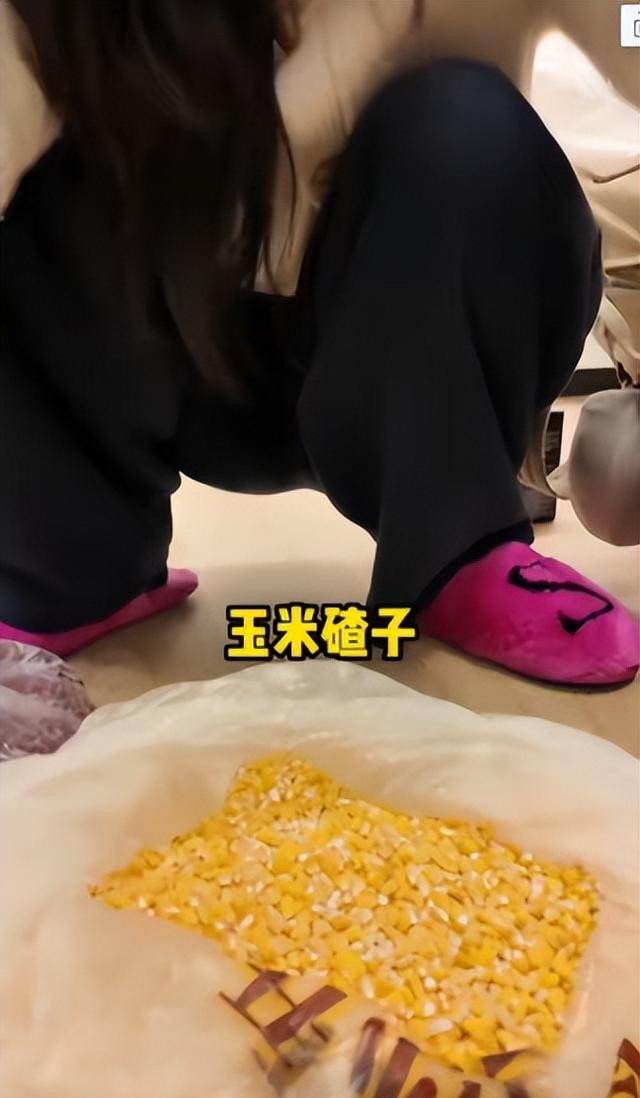 杜若溪东北妈来上海过年，带活蚕蛹 玉米碴 黄牛肉，被塑料袋看乐了