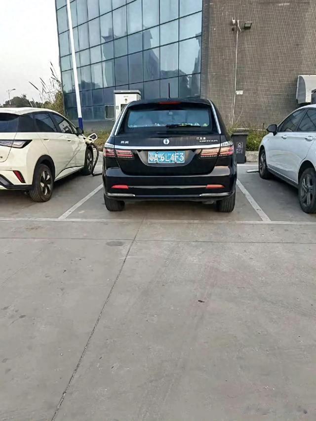 蓝牌的腾势！少见！ ?