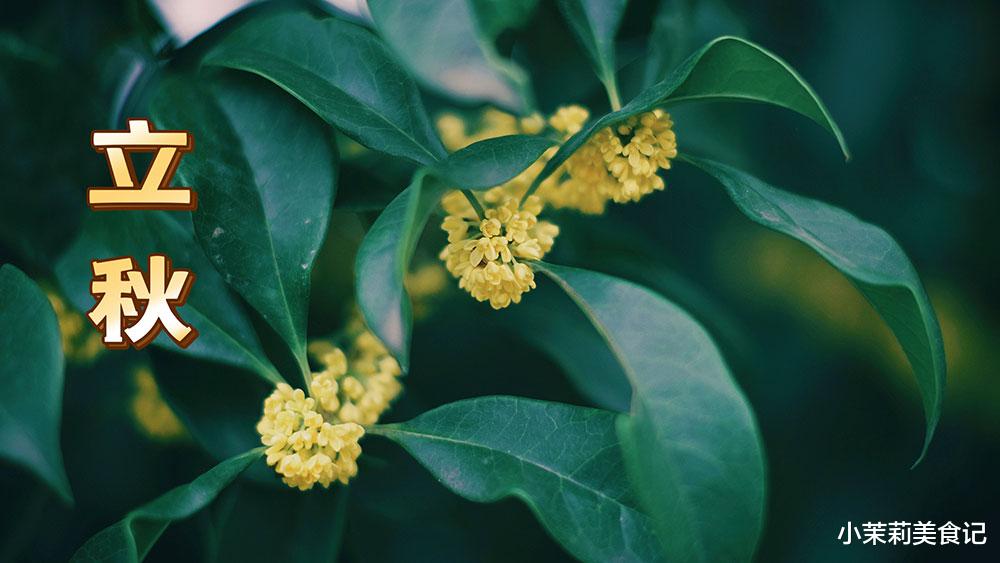 8月7立秋,传统吃饺子,韭菜芹菜靠边站,首选这3样,吃出好福气