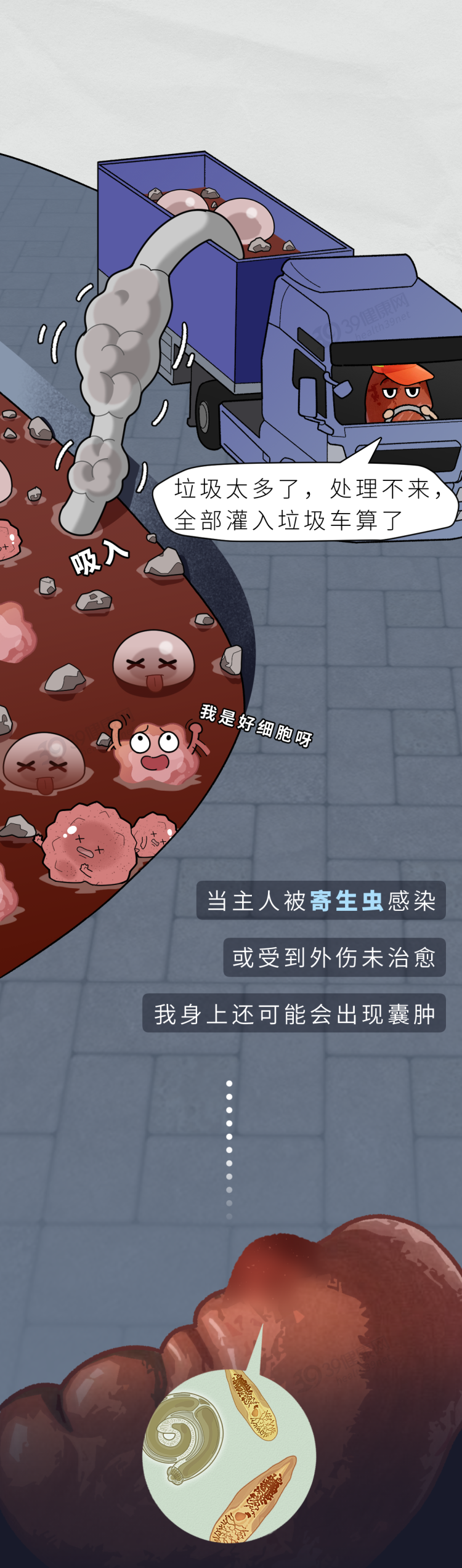 人体最没用的器官，拿掉也不会死，反而对身体更好？看完涨知识了