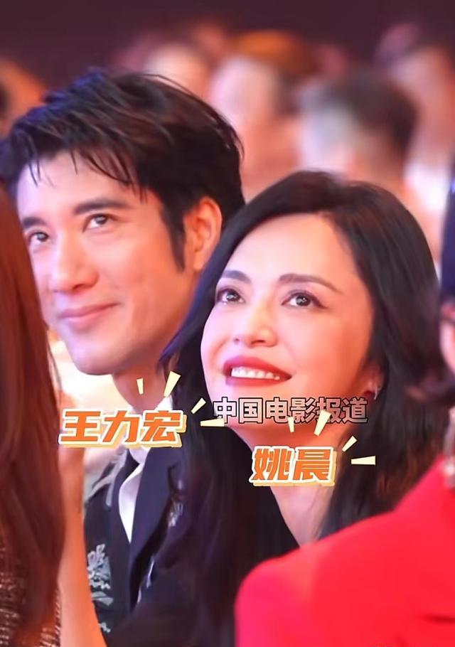 离婚13年后,再看姚晨和凌潇肃的婚姻,才明白唐一菲有多冤?