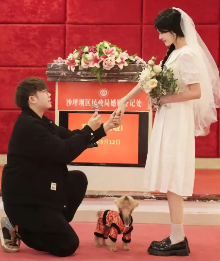 三石直播再爆猛料 说蛋糕不请自来捧遗像 目的是为了炒作带货