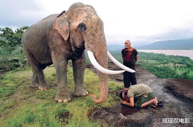 近二十年难以超越的10部动作片,就连成龙都未上榜单