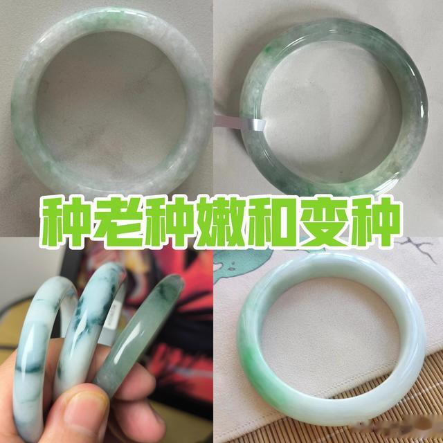 详谈翡翠的种老种嫩和变种