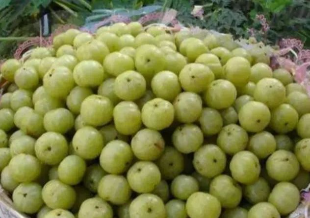 |比雪梨效果更好的水果,名副其实的“止咳王”