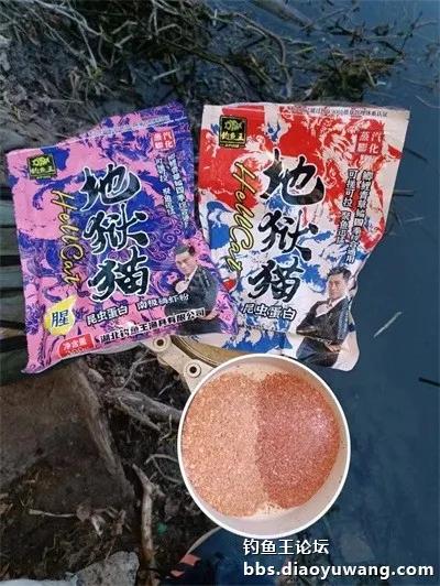 带上地狱猫，野钓有大鲫