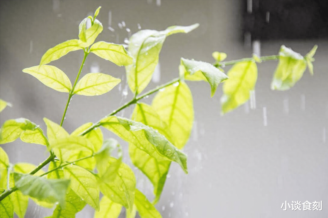 明日二月二十,老人说“最怕二十一日晴”,为啥怕晴天?早知道