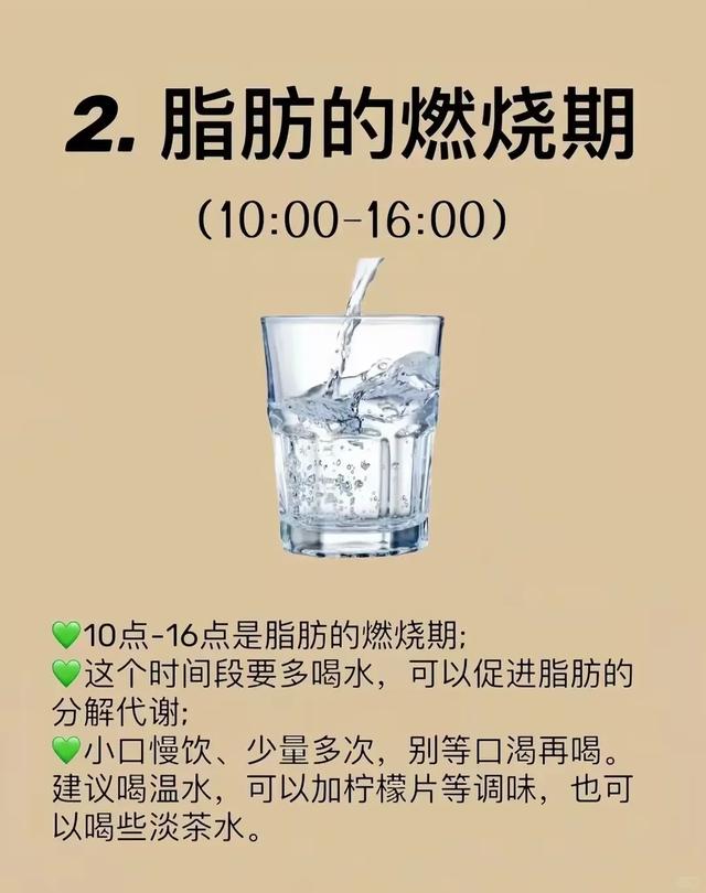 人在一天中有脂肪囤积期，避开此期不易胖