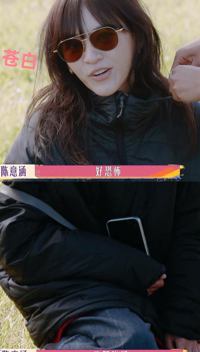 《花少》中陈意涵应变能力突出！怒怼法国服务员，一句话拿捏宁静