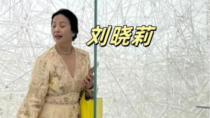 65岁刘亦菲母亲近照被曝出！体型发福却气质爆表，网友：颜值比女儿漂亮