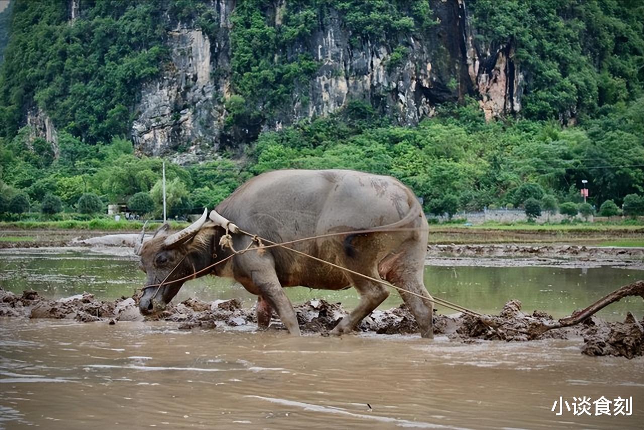 2025年双春闰六月,老人说“七龙治水,四牛耕田”,明年年景咋样?
