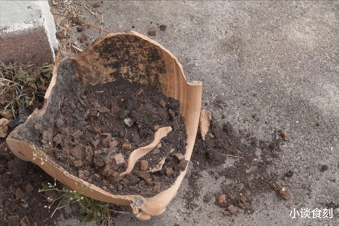 “家里三不放,财旺人更旺”,不管家里多大,3样东西提醒别放了