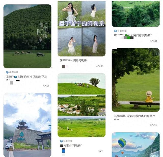 今年双11,年轻人货比三家