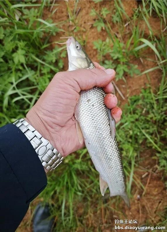 时间的雨滴