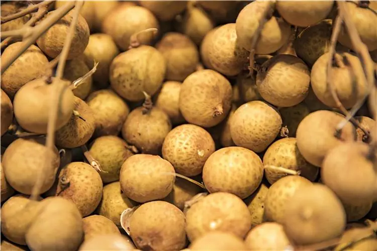 为什么有人吃完蜜瓜会嗓子疼？水果越甜，热量越高？一文告诉你→