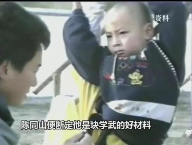 分手11年后,再看两婚一离的何洁,才明白她与释小龙差距有多大!