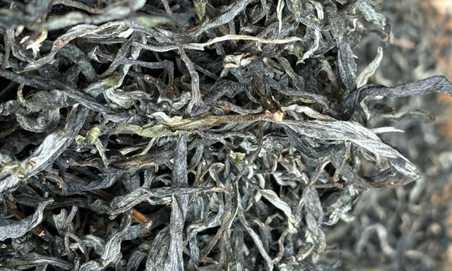 茶界神人辈出：懂茶的人喝茶到底有多牛？吓得瑟瑟发抖！