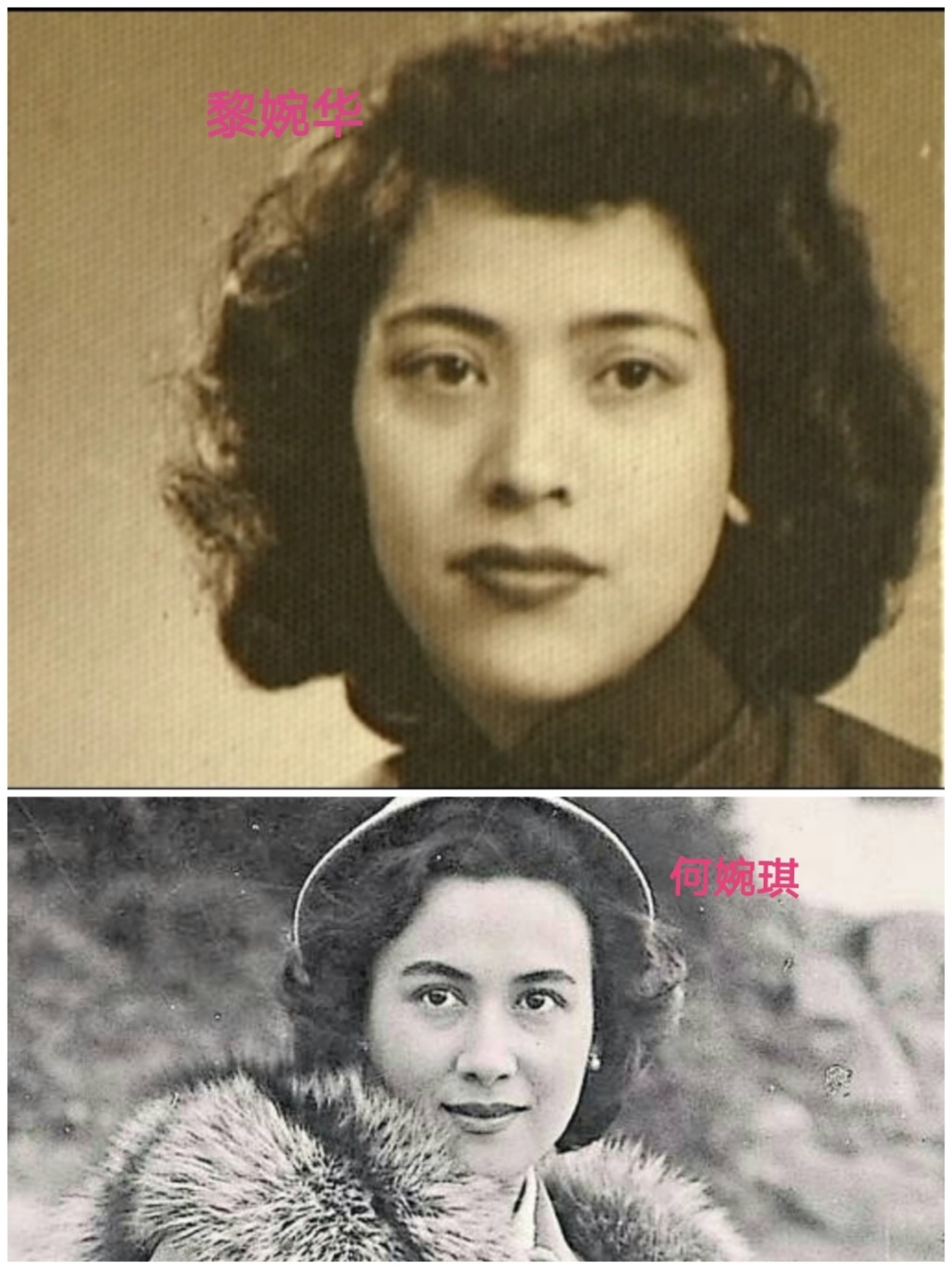 赌王家族风云再起:黎婉华影响力犹在,二房崛起成新焦点