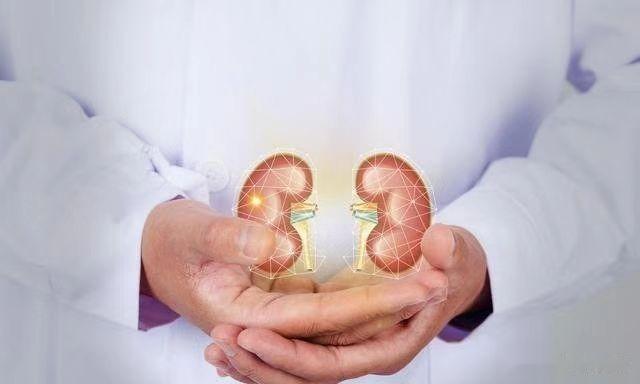 补脾四步走，顺序对了，事半功倍！