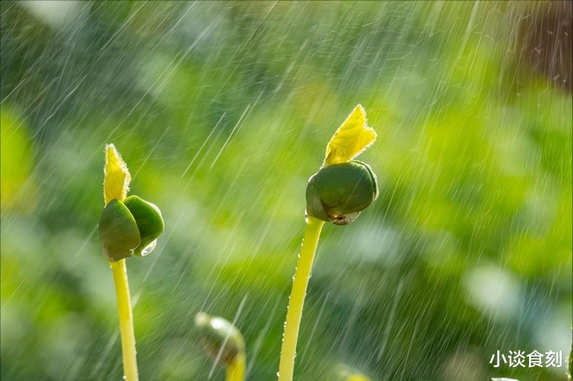 3月5日惊蛰，老人说“惊蛰做4事，半年无病扰”，哪4事？建议了解