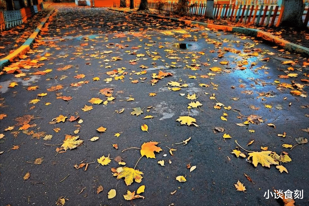 今年出伏之后为啥还这么热?还要热多长时间?什么时候变凉快?