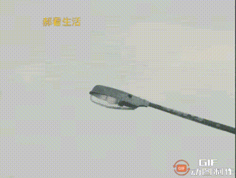 郑恺苗苗两家人吃团圆饭，三胎女宝宝出镜，老大老二正脸都像郑恺